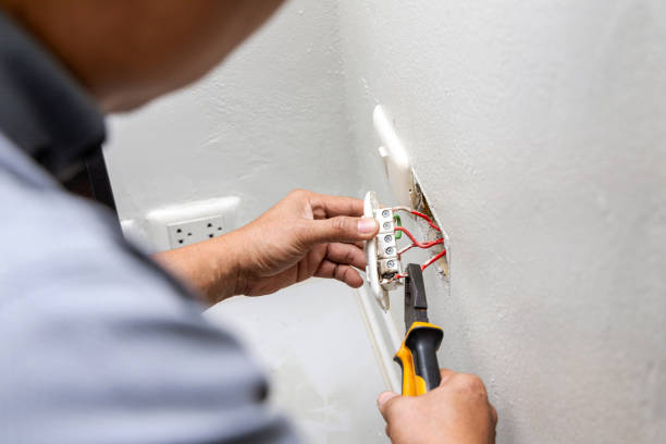 Best Electric Panel Repair  in Breese, IL